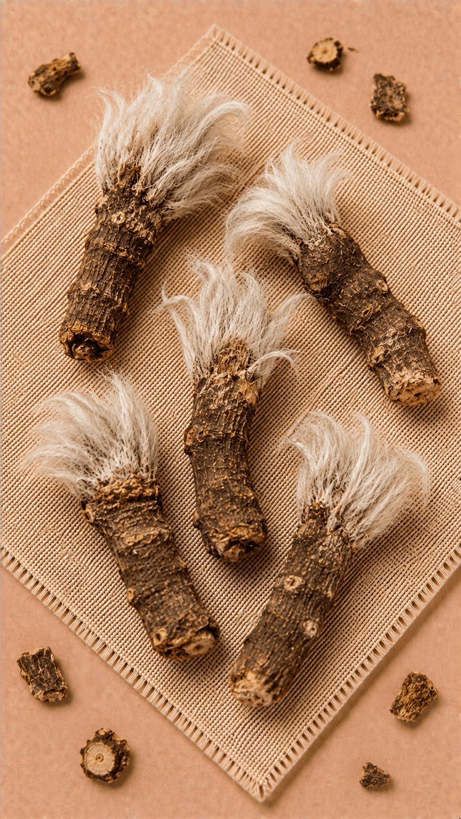 Photo of Anemone Rhizome