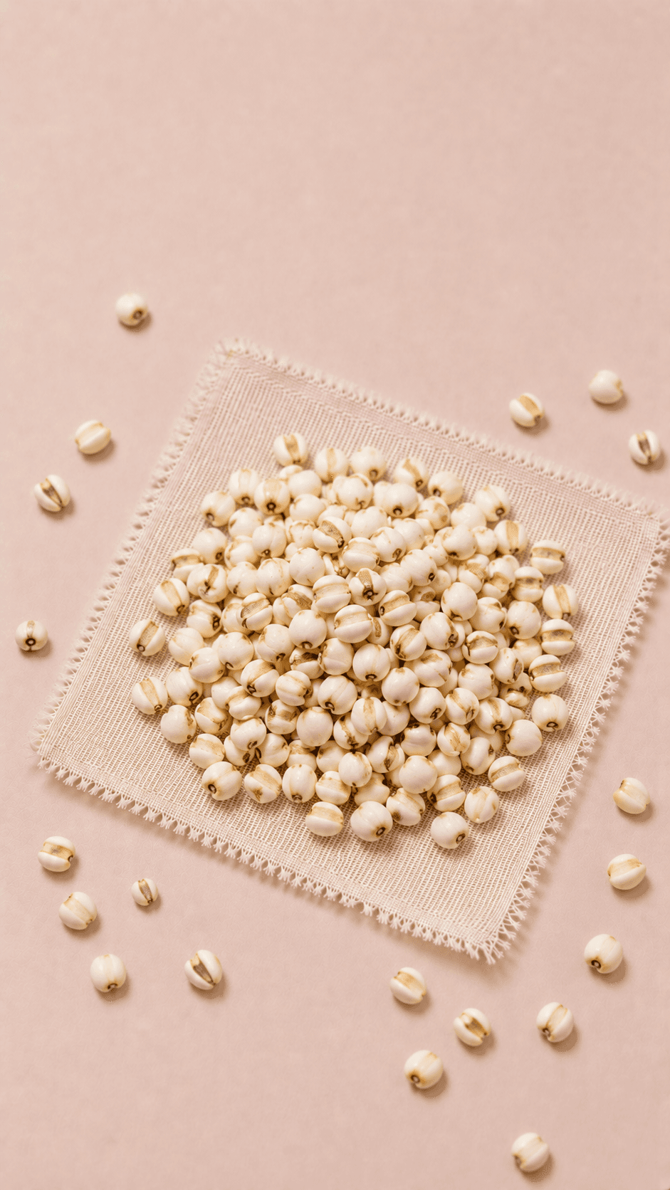 Photo of Coix Seed
