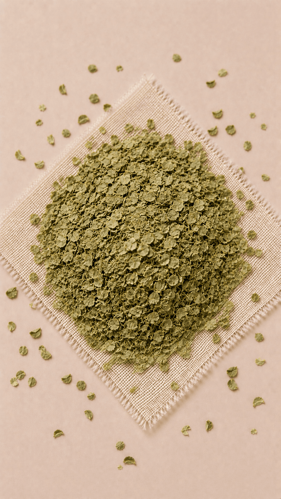 Photo of Duckweed