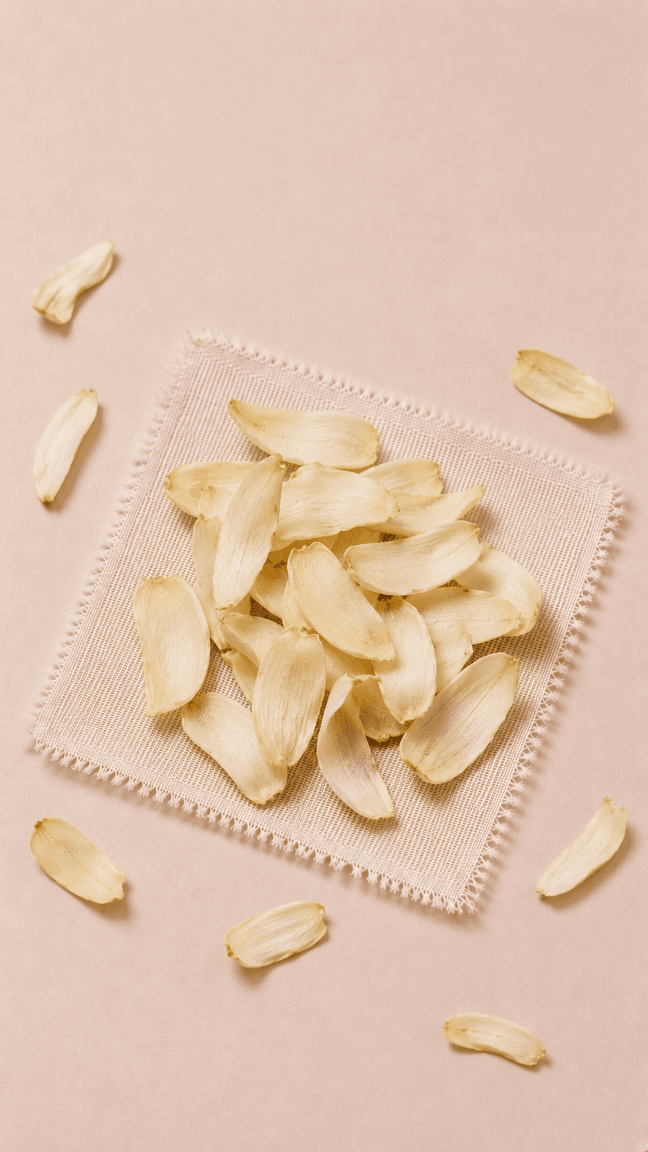 Photo of Lily Bulb