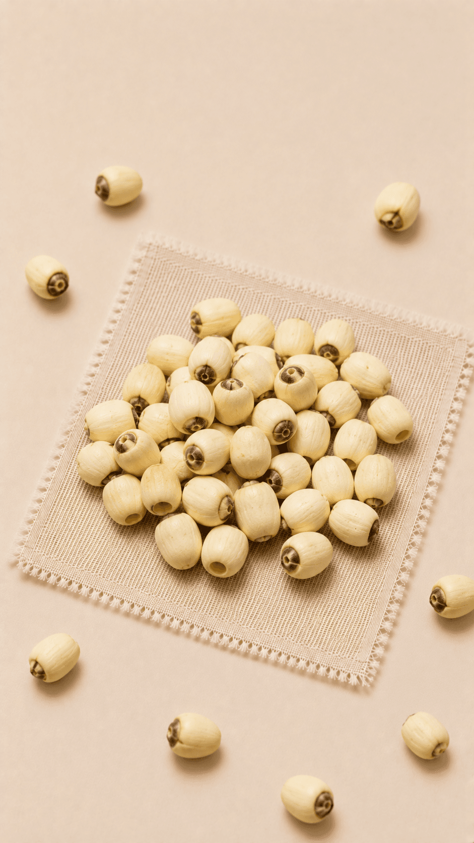 Photo of Lotus Seed