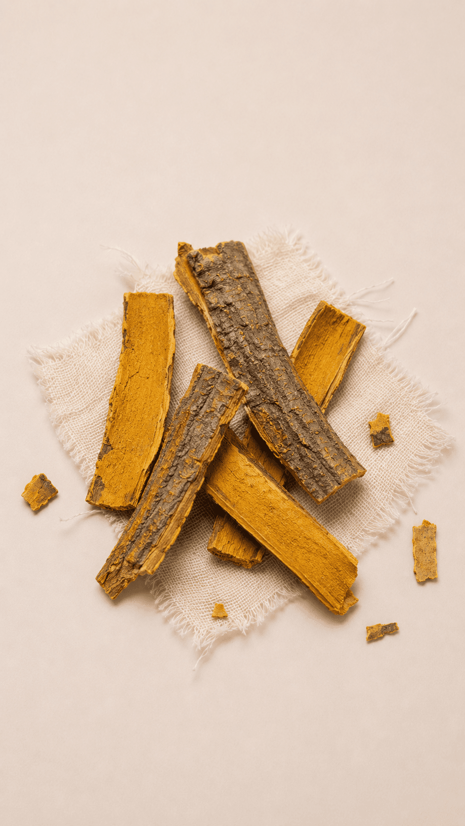 Photo of dried phellodendron bark, flat strips with bright yellow interior and grey-brown exterior
