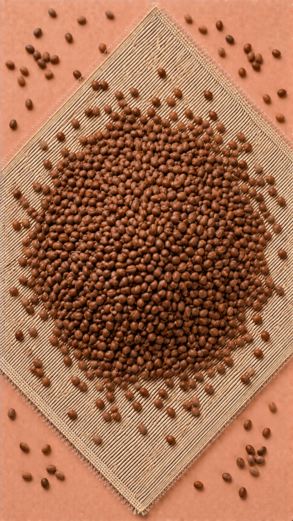Photo of Radish Seed