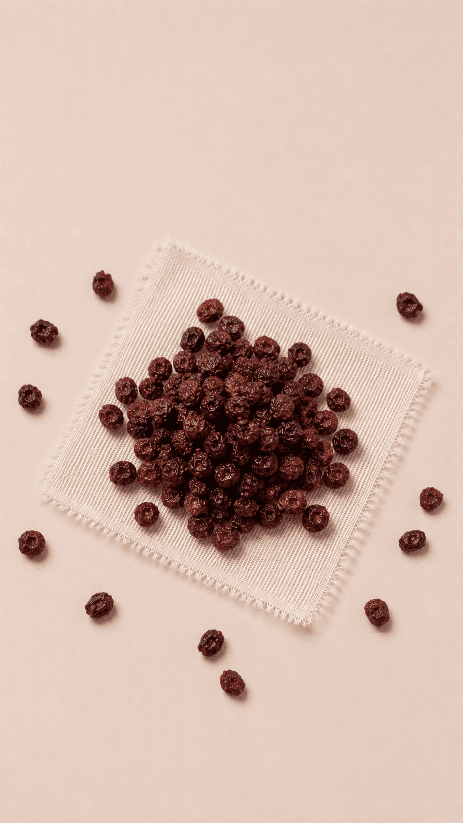 Photo of Schisandra Berry