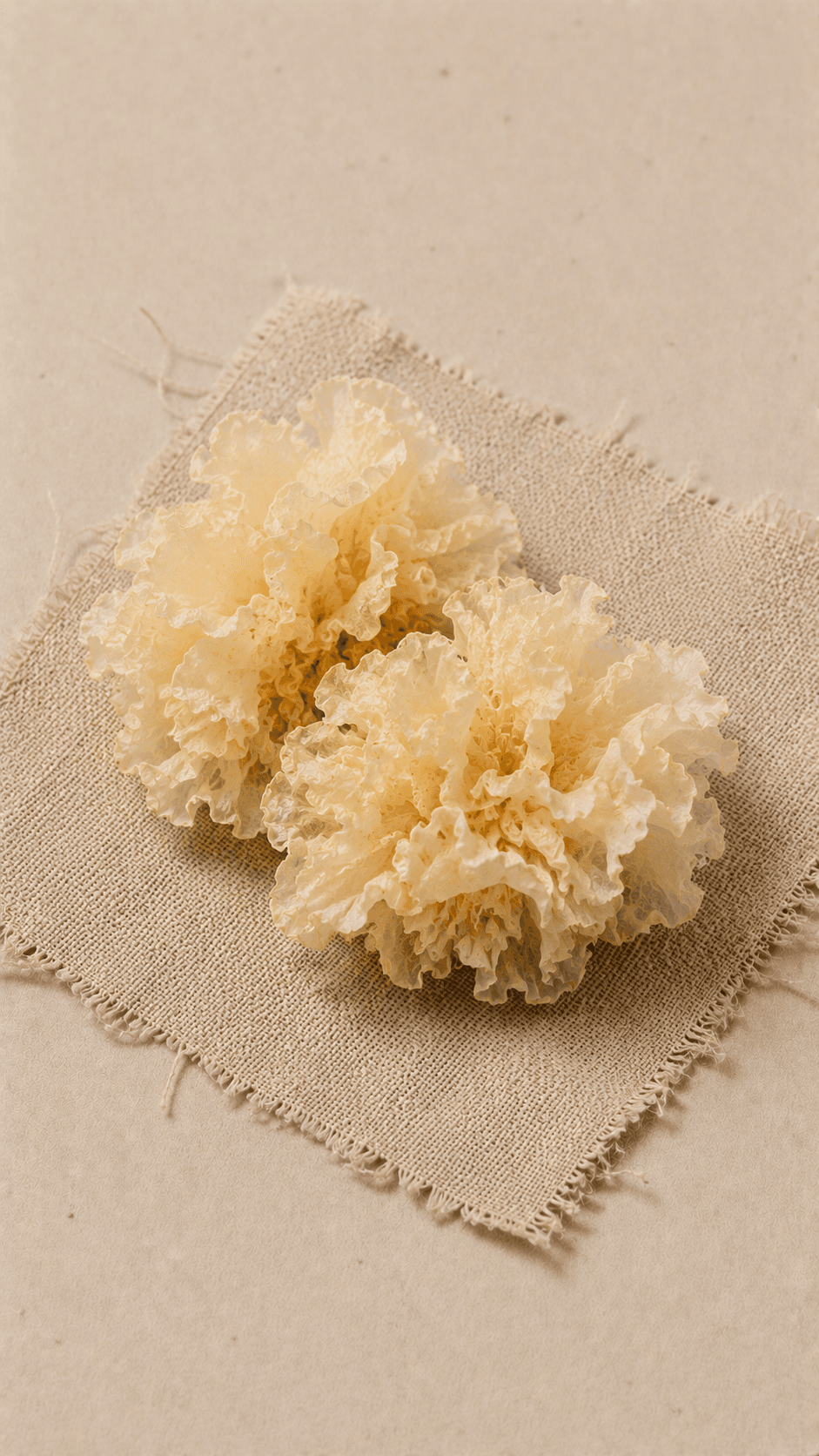 Photo of Tremella